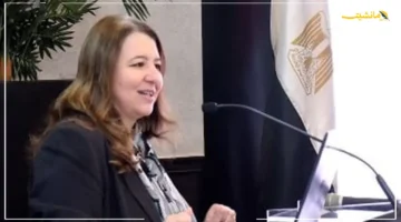 لضمان التصدير لأوروبا.. الاستثمار تناقش تطوير مصانع الأسمدة لتلبية آلية الاتحاد الأوروبي 1